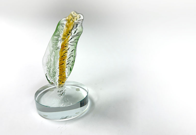 台灣-金 玻璃擺飾 台灣-金 玻璃擺飾